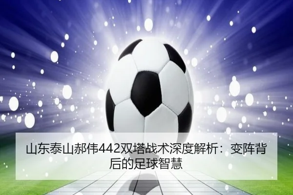 山东泰山郝伟442双塔战术深度解析:变阵背后的足球智慧